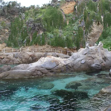 Pfa Ginevra
